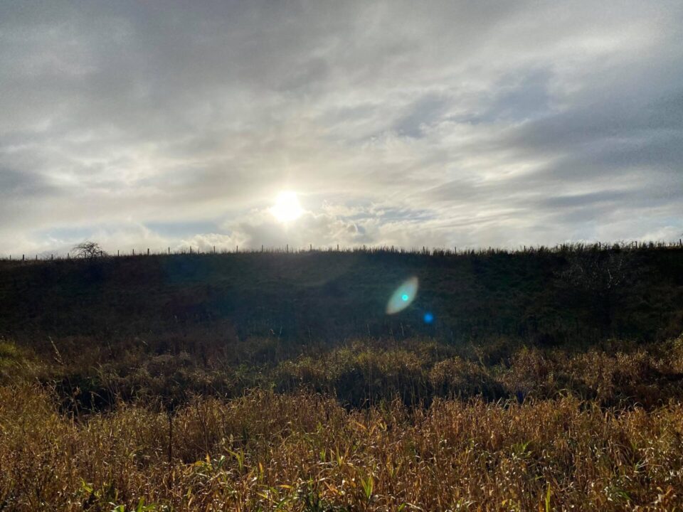 photo of sun slowing setting during walk